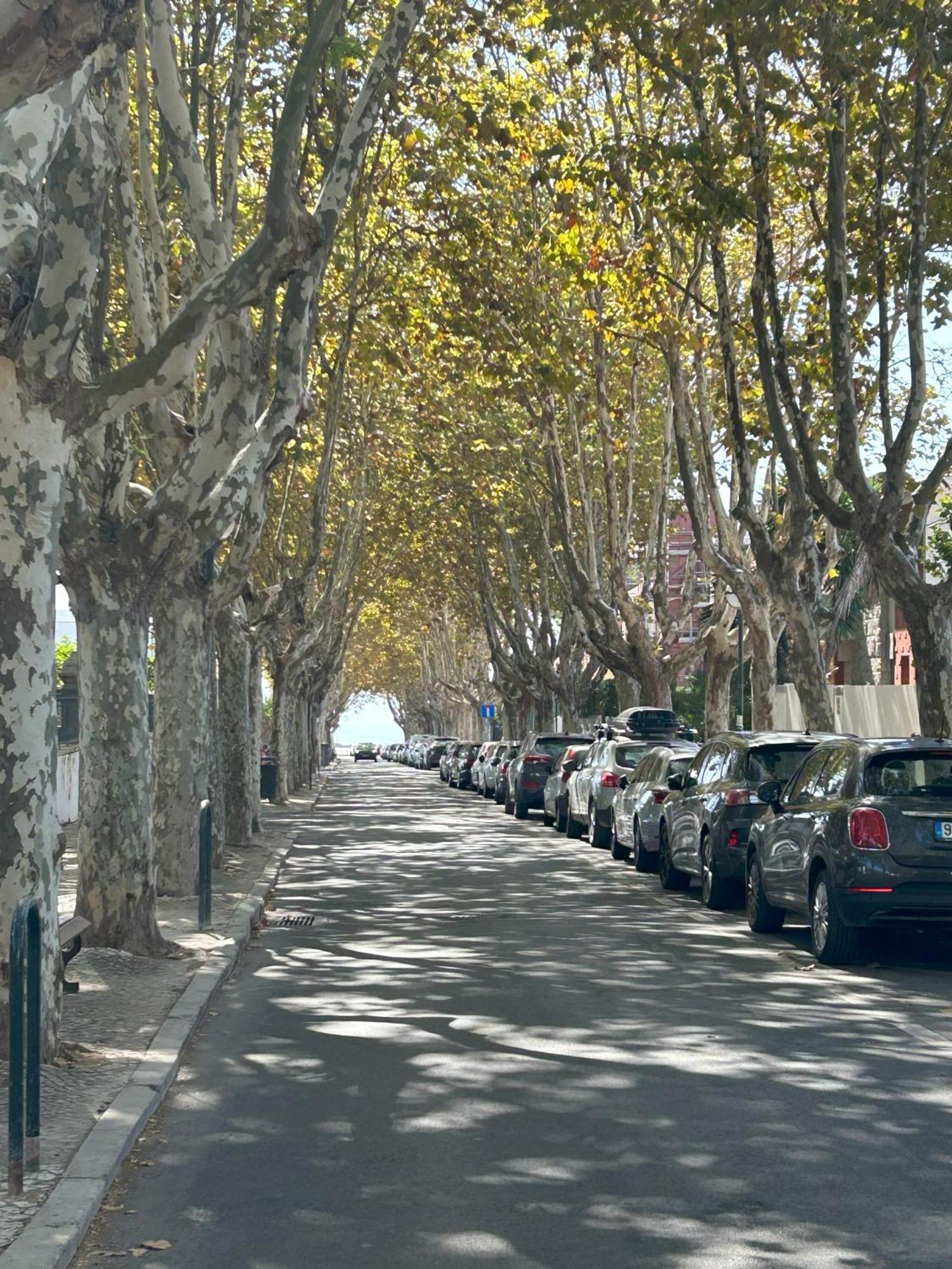 Mar Verde - Parede-Cascais Eksteriør bilde